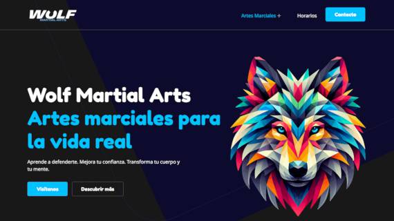 Imagen de marca y página web